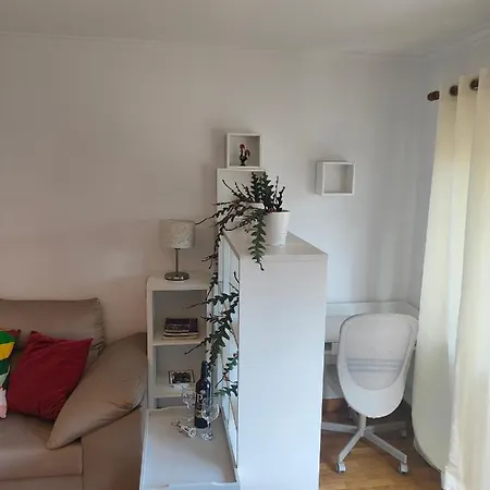Cosy Sunny Flat Between Center And Porto