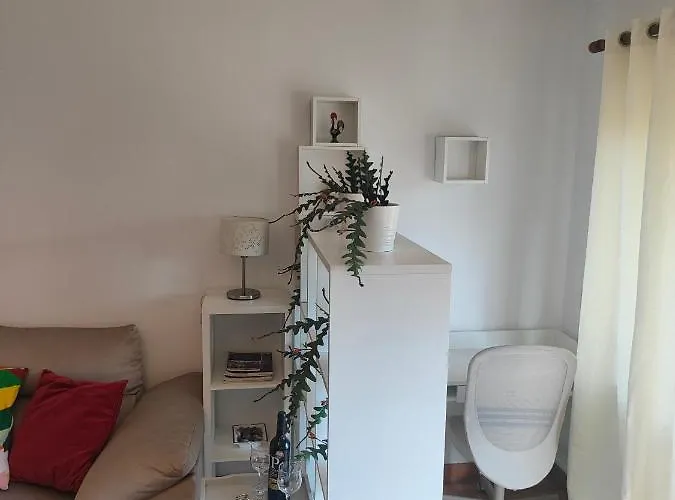 Cosy Sunny Flat Between Center And Porto